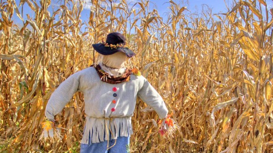 firmengruendung strohmann