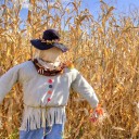 firmengruendung strohmann